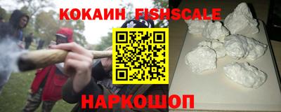 дмт Гай