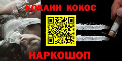 дмт Гай