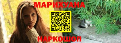 дмт Гай