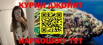 дмт Гай