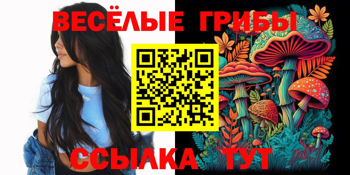 Галлюциногенные грибы MAGIC MUSHROOMS Киржач
