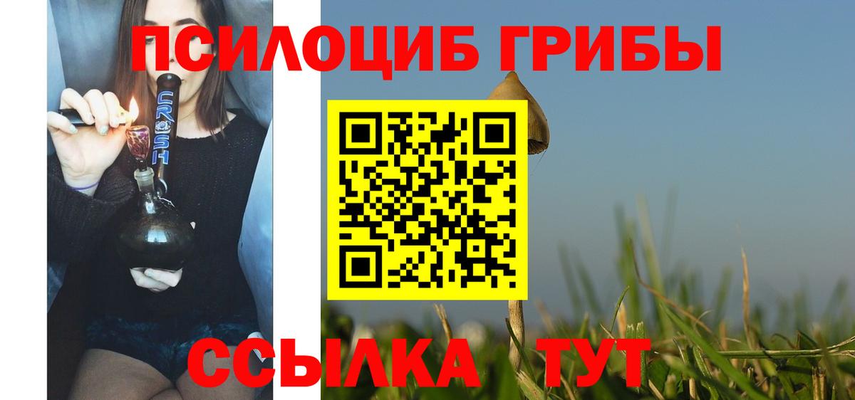 Псилоцибиновые грибы мицелий  Псилоцибиновые грибы GOLDEN TEACHER  Вход с VPN  закладки  Киржач 